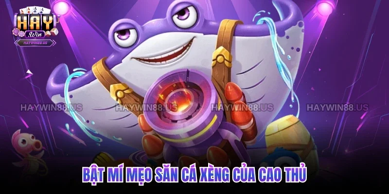 Bật mí mẹo săn cá xèng của cao thủ