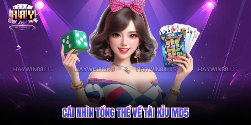 Cái nhìn tổng thể về tài xỉu MD5