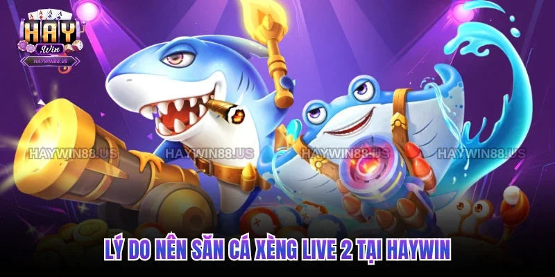 Lý do nên săn cá xèng live 2 tại Haywin