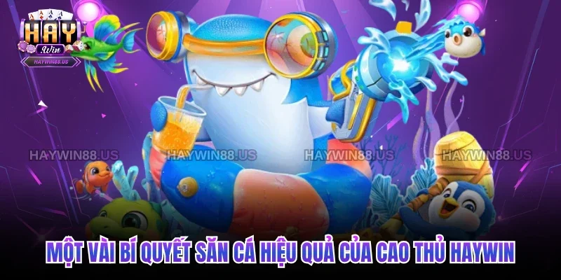 Một vài bí quyết săn cá hiệu quả của cao thủ Haywin