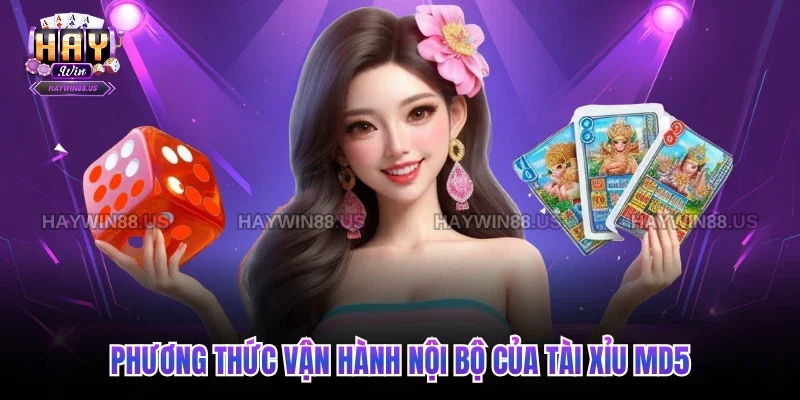 Phương thức vận hành nội bộ của tài xỉu MD5